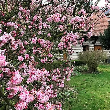 La Ferme Des Templiers De Flechinelle Bed & Breakfast Enquin-les-Mines