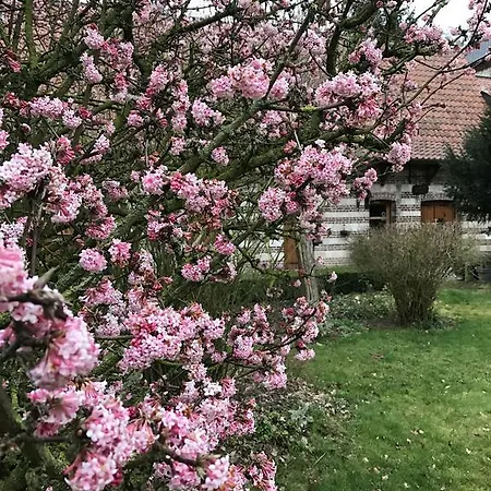 La Ferme Des Templiers De Fléchinelle Couette-café