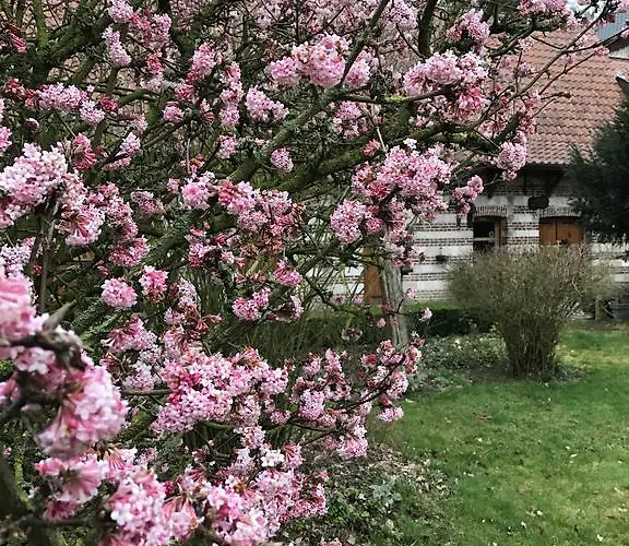 La Ferme Des Templiers De Flechinelle Bed & Breakfast