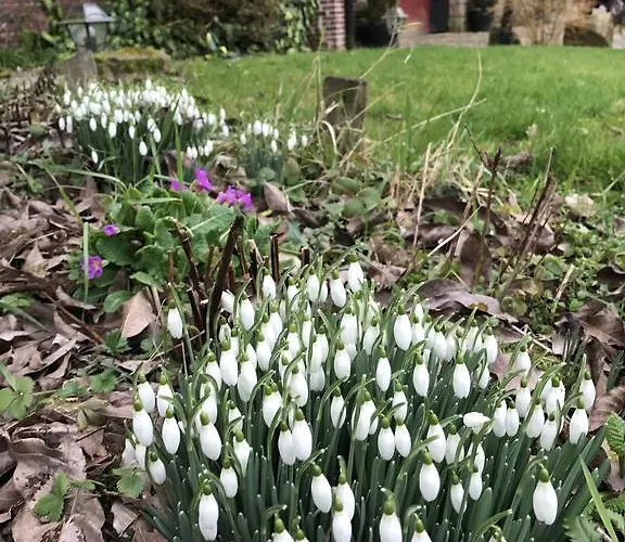 La Ferme Des Templiers De Flechinelle Bed & Breakfast